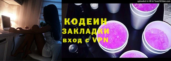 хмурый Бородино