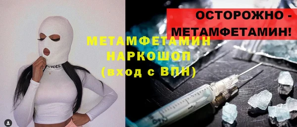 прущие грибы Бронницы