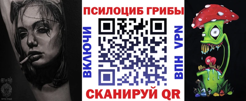 Купить  Сковородино  Галлюциногенные грибы GOLDEN TEACHER 